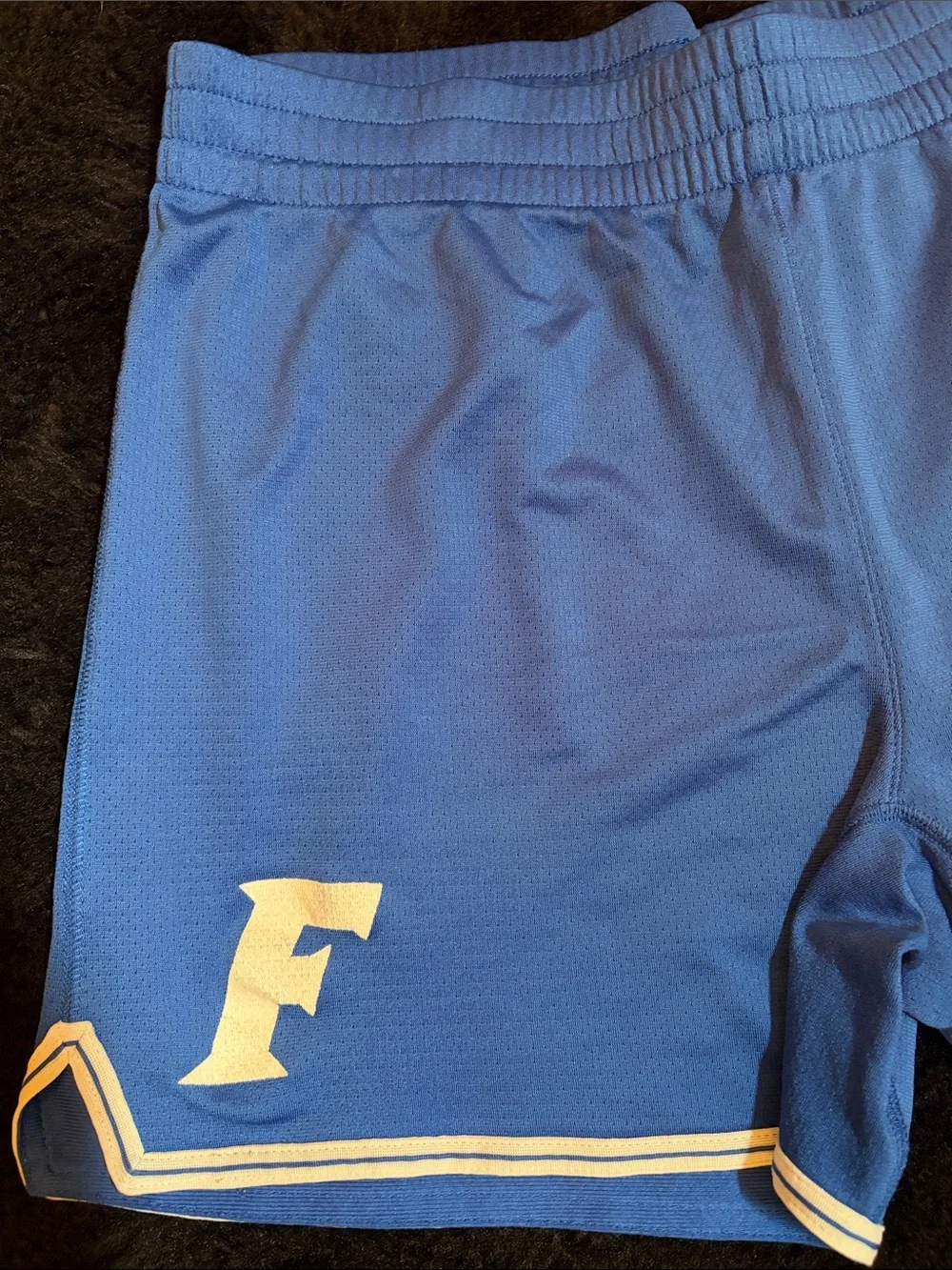 Florida Gators ‘F’ logo Women’s Nike Shorts wit